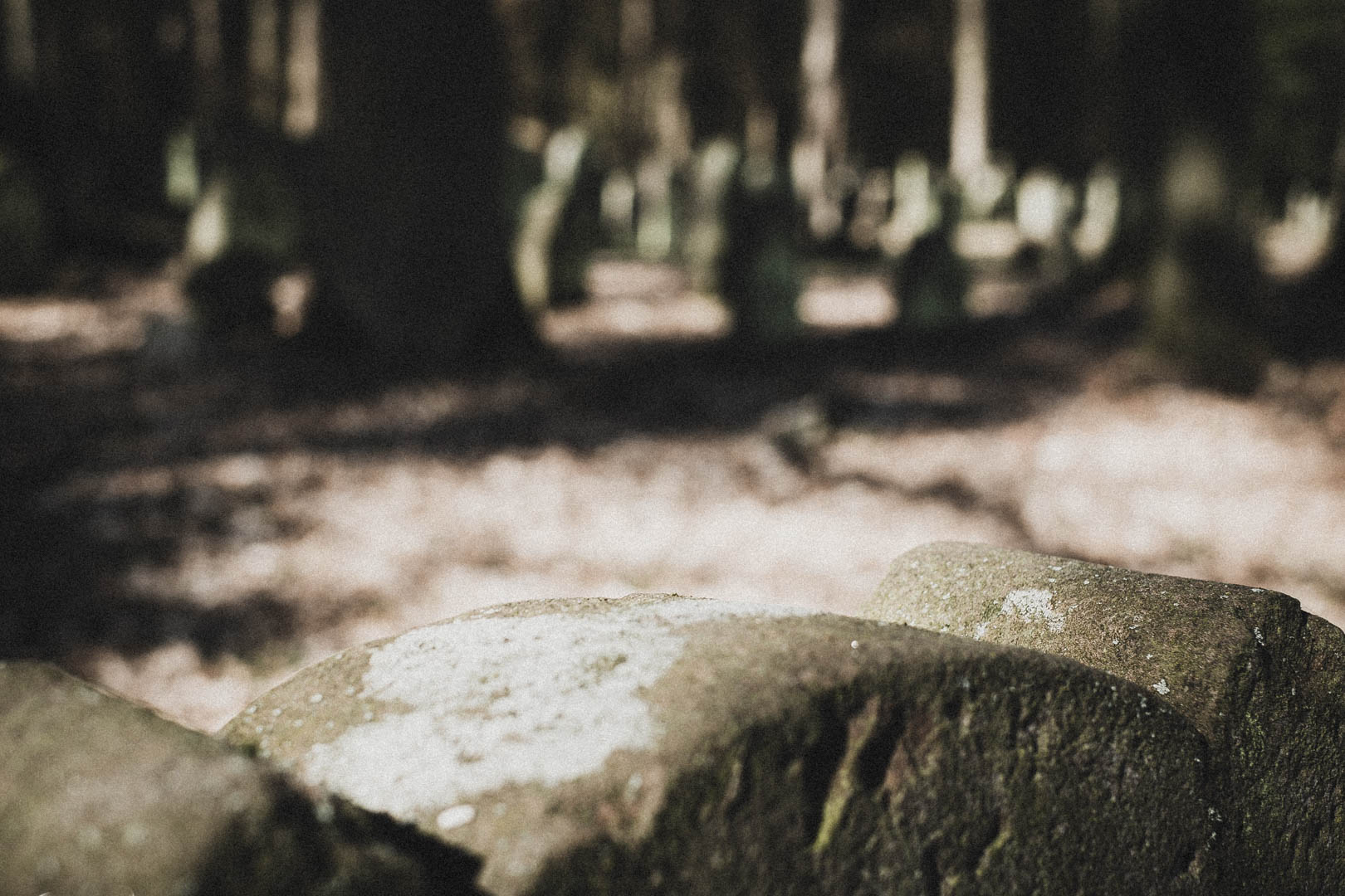 Haarhausen (Borken), Jüdischer Friedhof